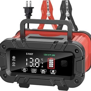 E-FAST 10A Battery Charger, Upgraded 12V 24V LiFePO4